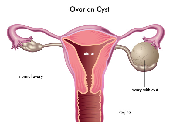 experienced endovascular surgeon in andhra